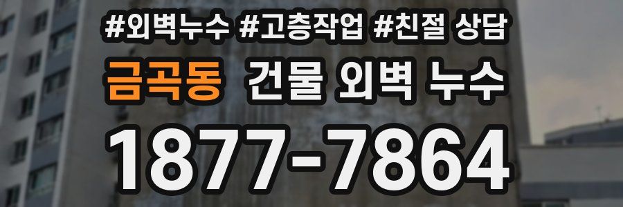 금곡동 건물 외벽 누수