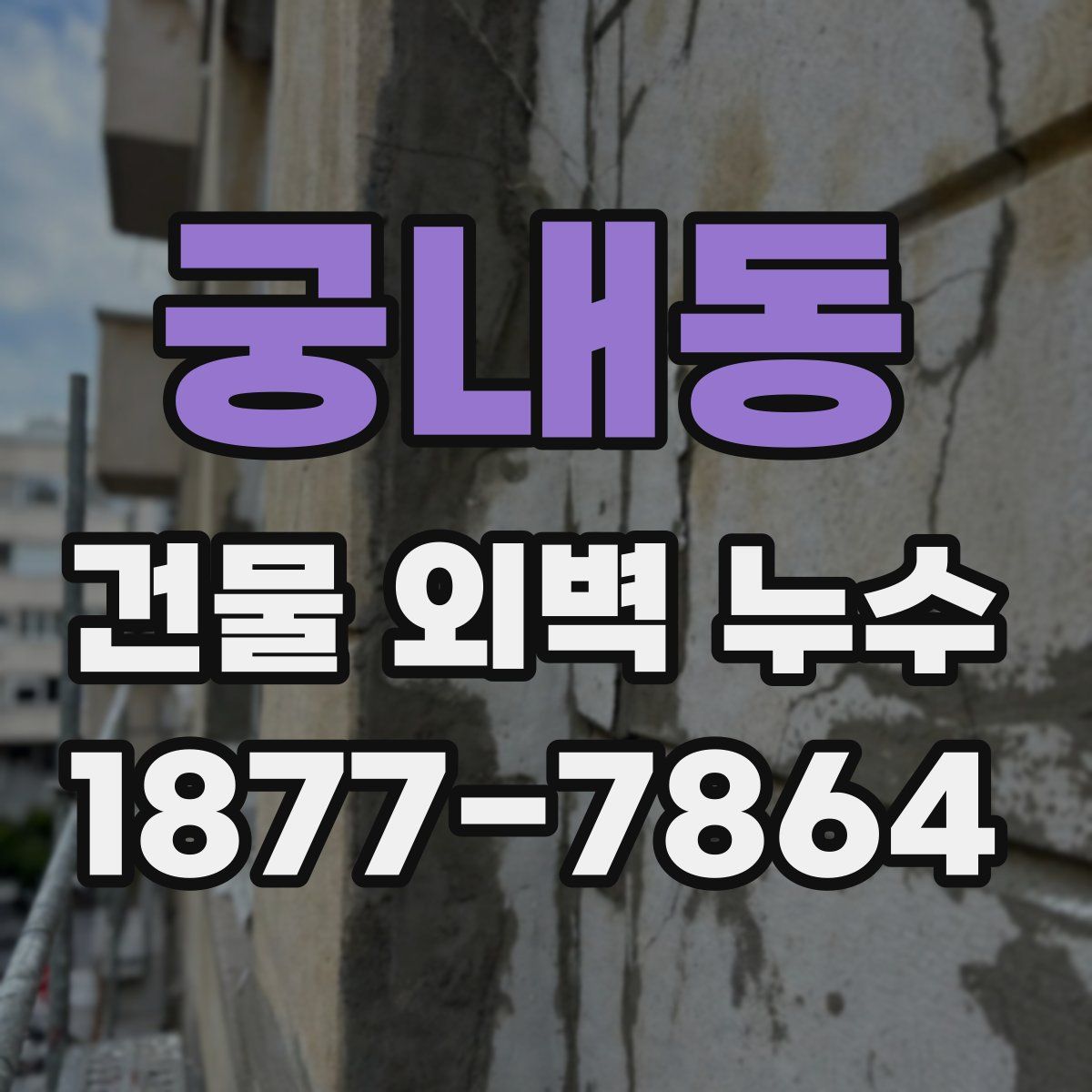궁내동 건물 외벽 누수
