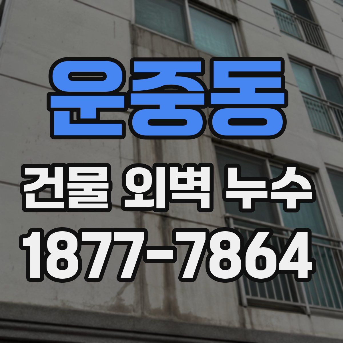운중동 건물 외벽 누수