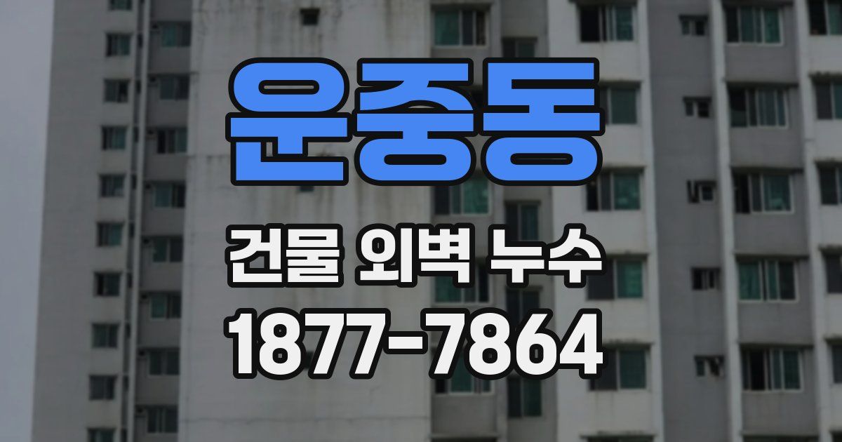 운중동 건물 외벽 누수