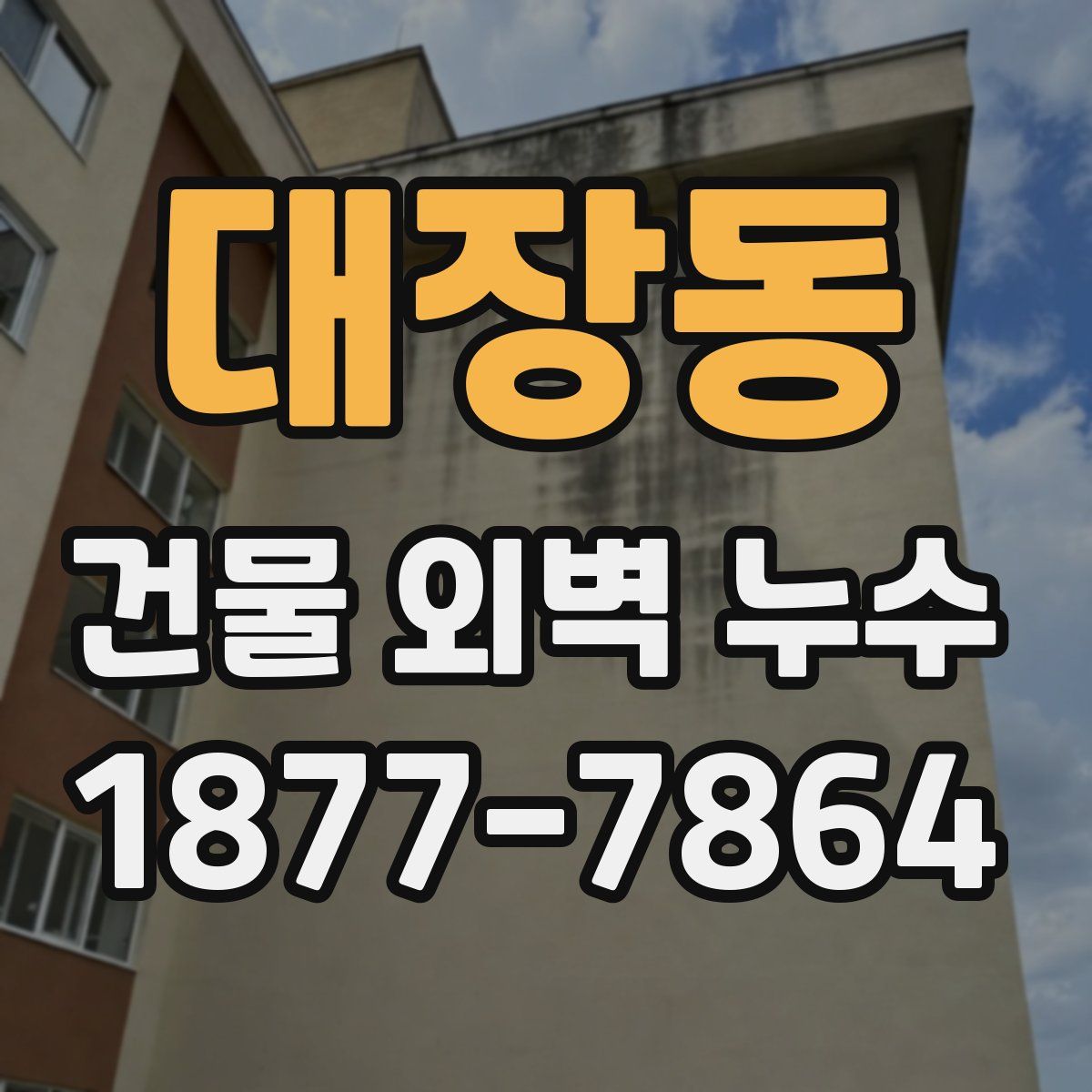 대장동 건물 외벽 누수