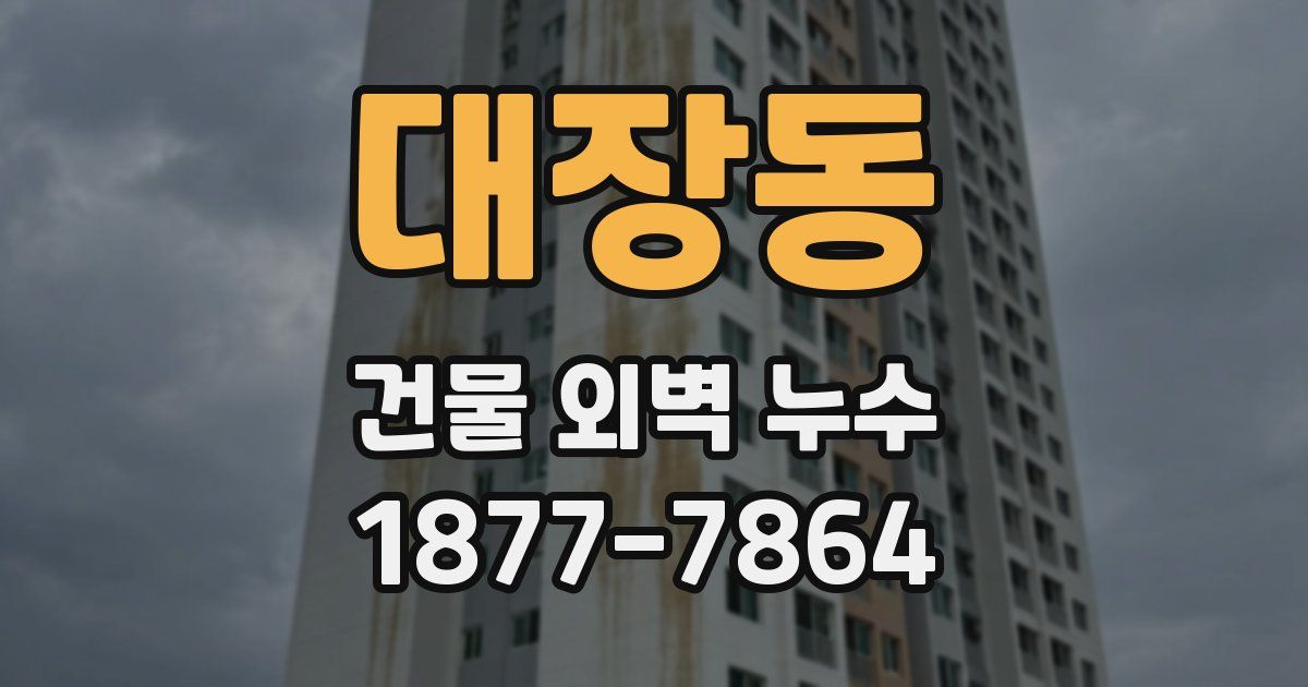 대장동 건물 외벽 누수