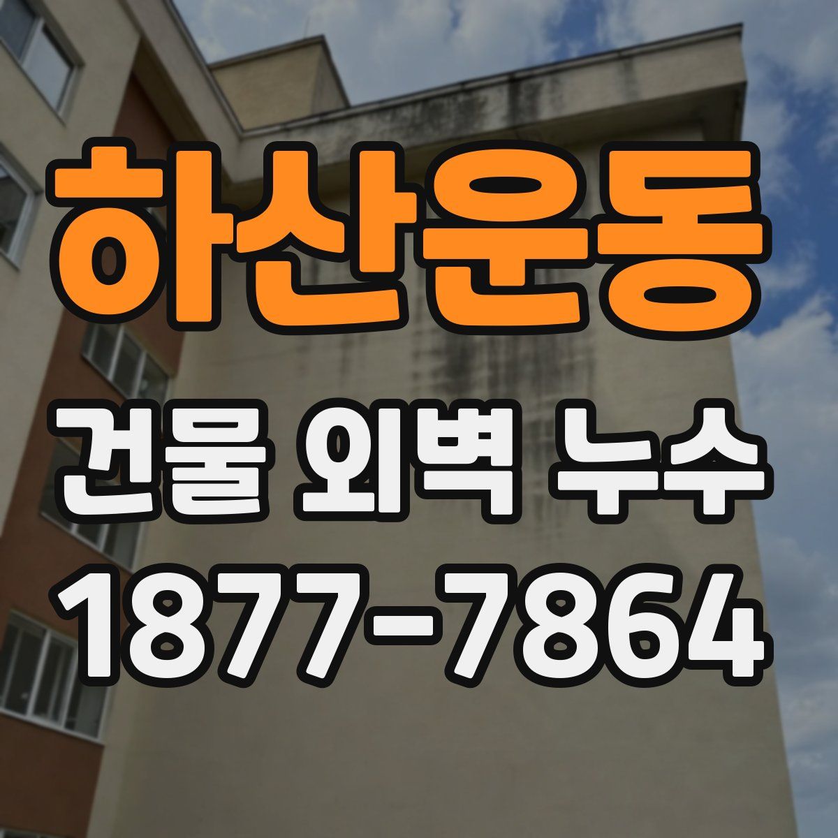 하산운동 건물 외벽 누수