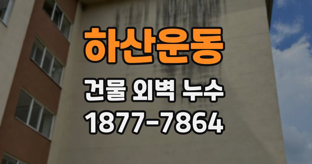 하산운동 건물 외벽 누수