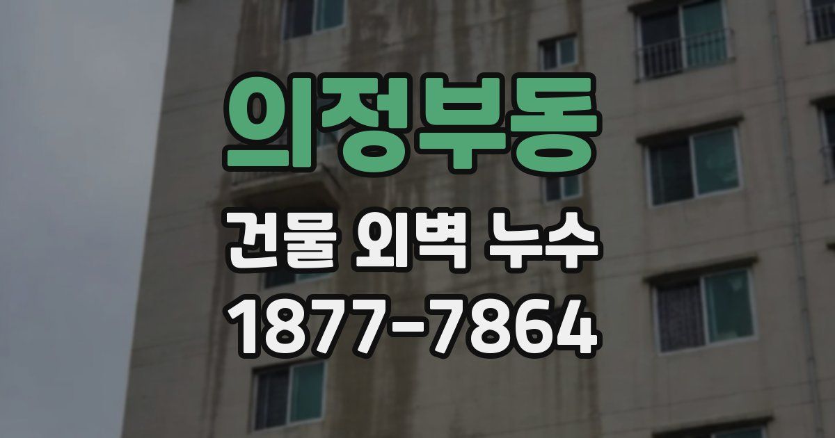 의정부동 건물 외벽 누수