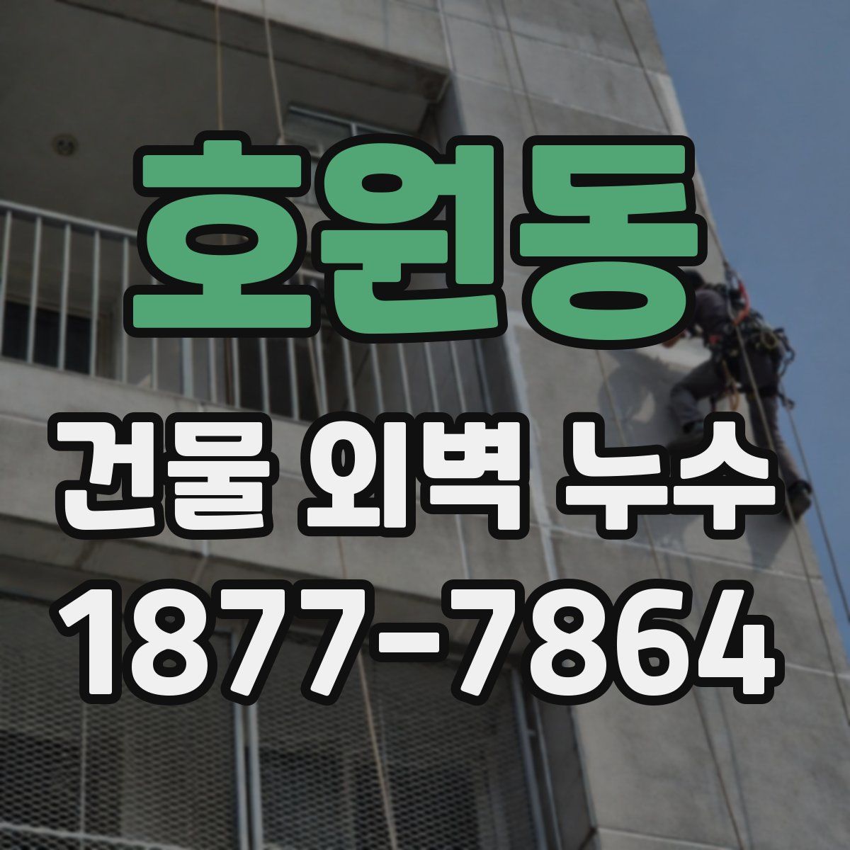 호원동 건물 외벽 누수