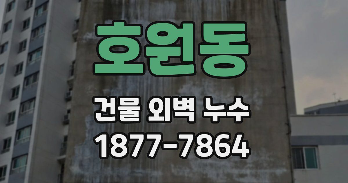호원동 건물 외벽 누수
