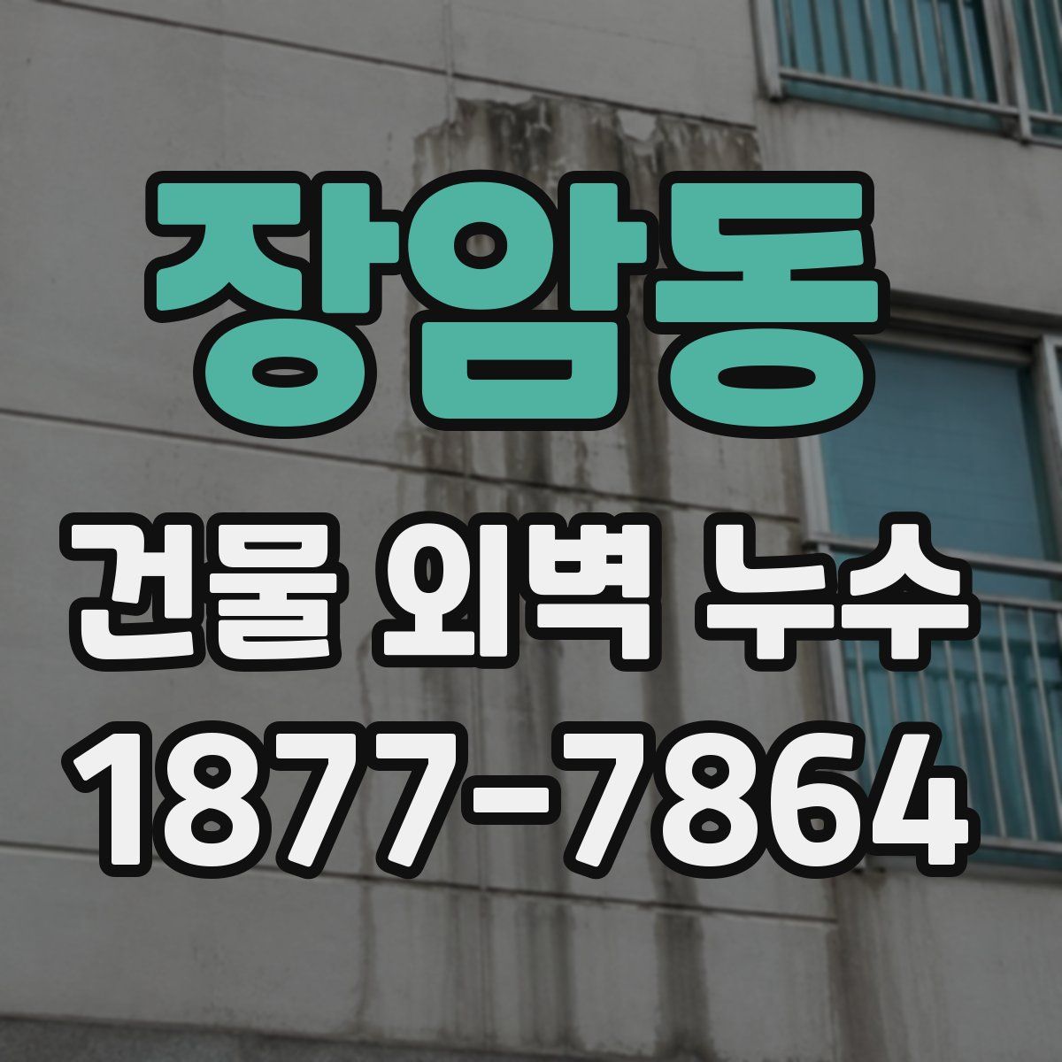 장암동 건물 외벽 누수