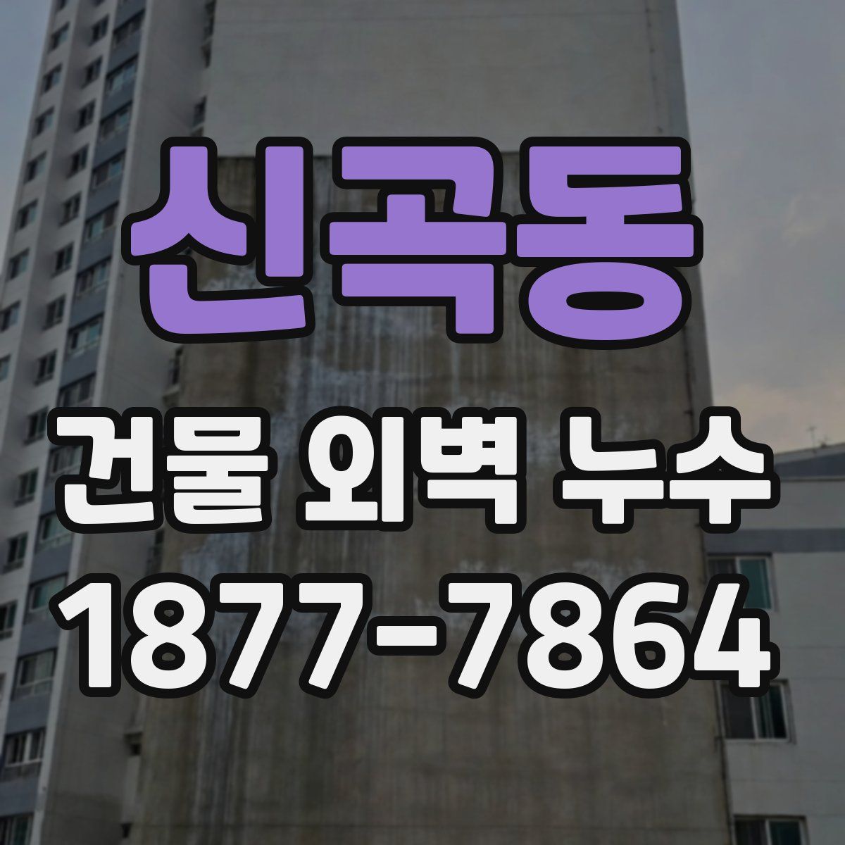 신곡동 건물 외벽 누수