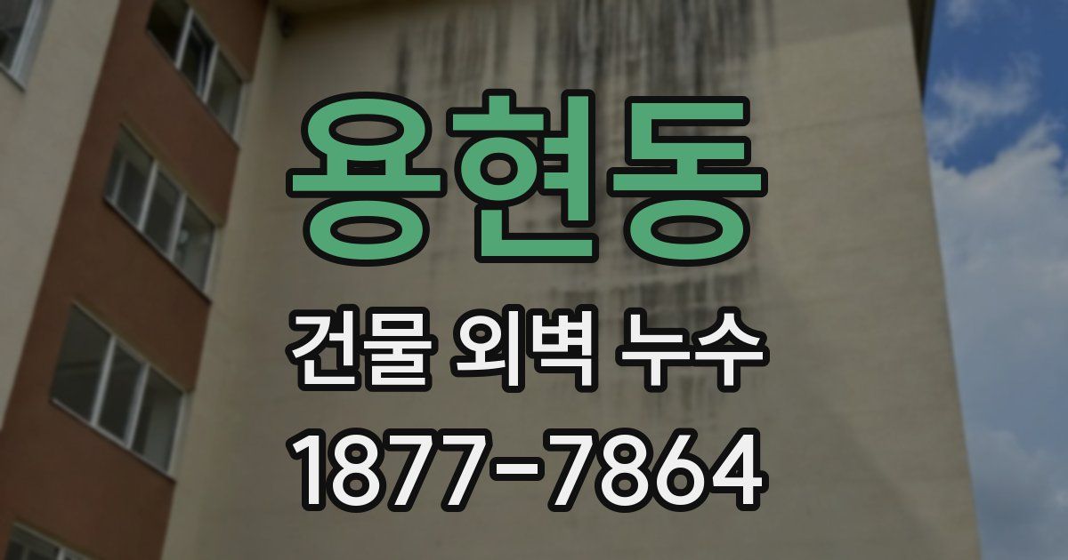 용현동 건물 외벽 누수
