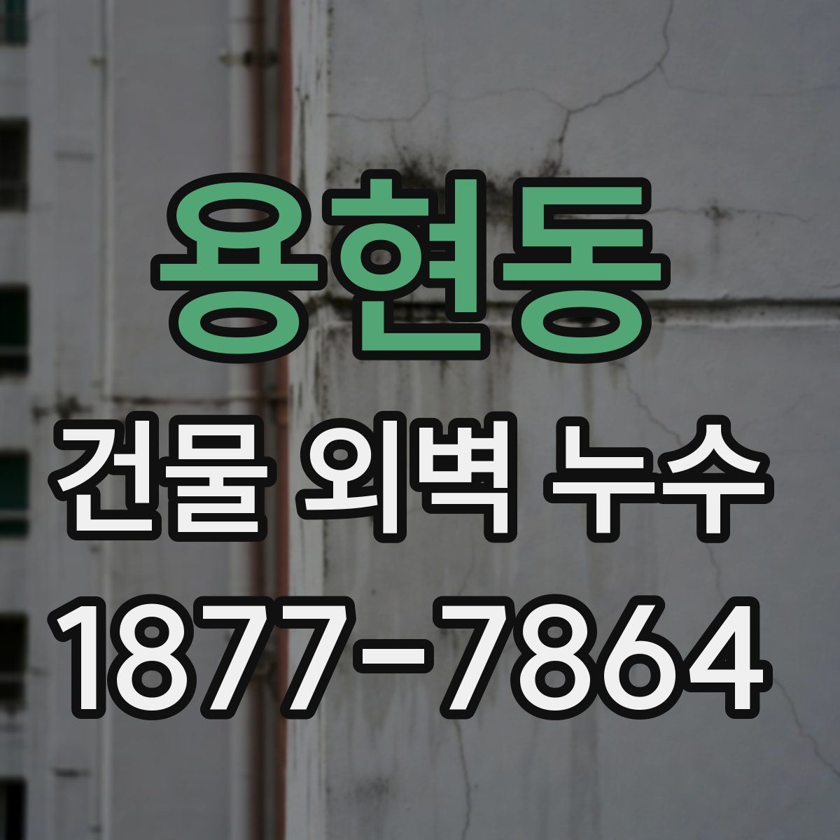 용현동 건물 외벽 누수