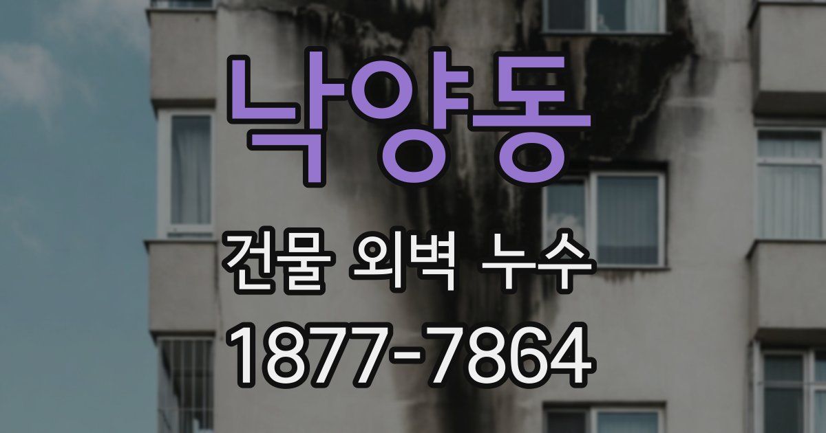 낙양동 건물 외벽 누수