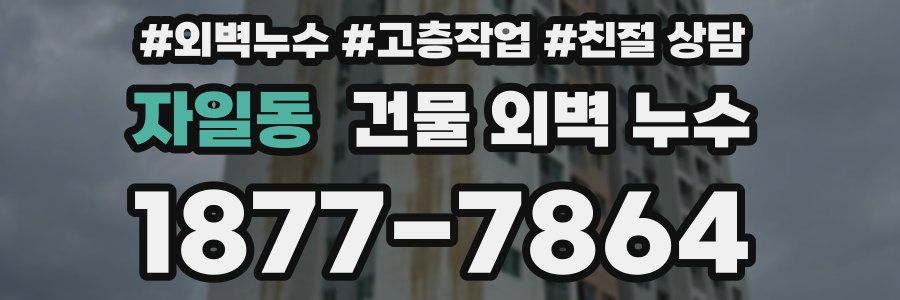 자일동 건물 외벽 누수