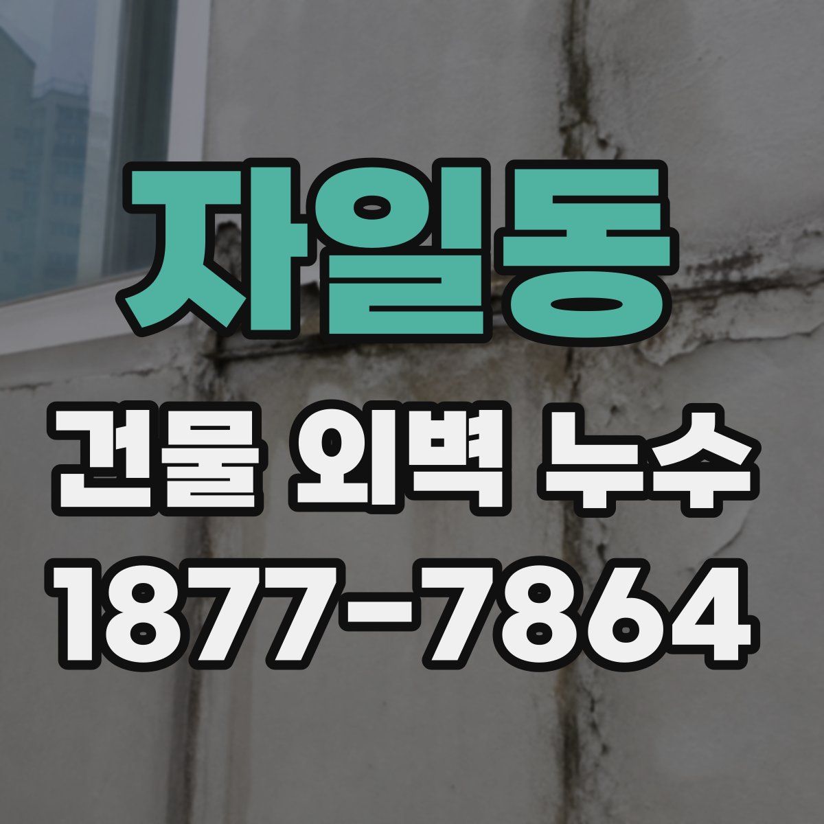 자일동 건물 외벽 누수