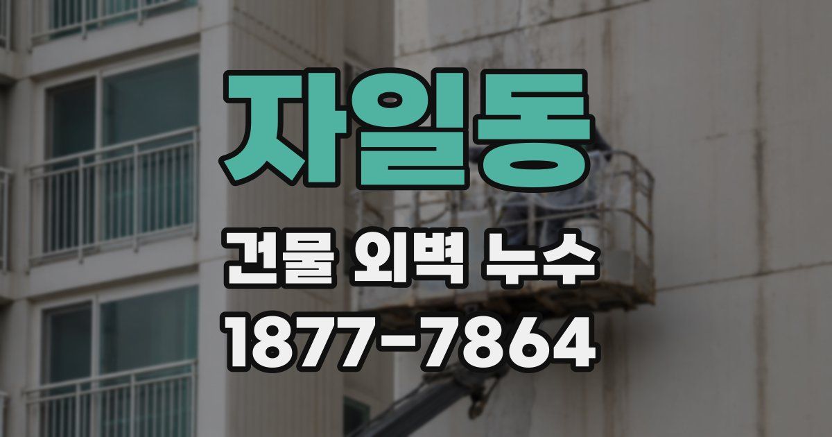 자일동 건물 외벽 누수