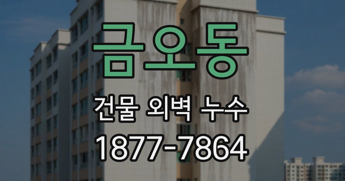 금오동 건물 외벽 누수