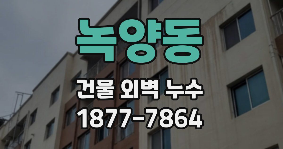 녹양동 건물 외벽 누수