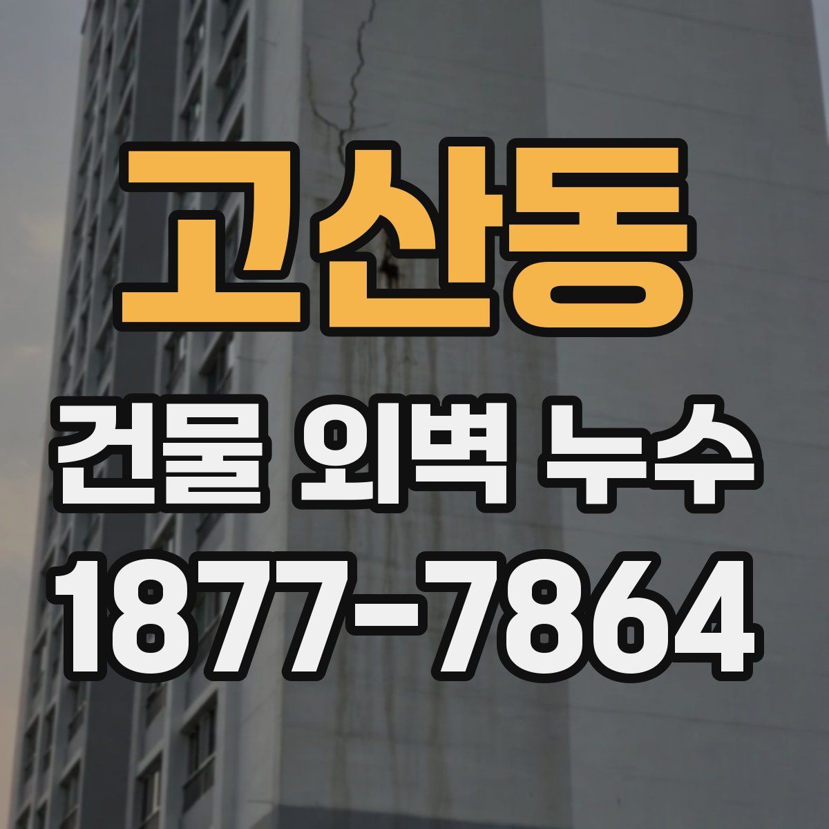 고산동 건물 외벽 누수