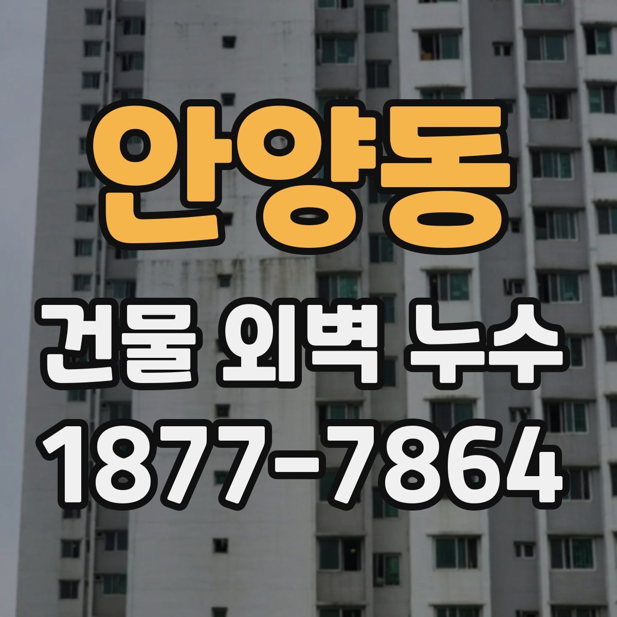 안양동 건물 외벽 누수