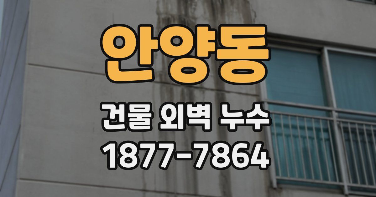 안양동 건물 외벽 누수