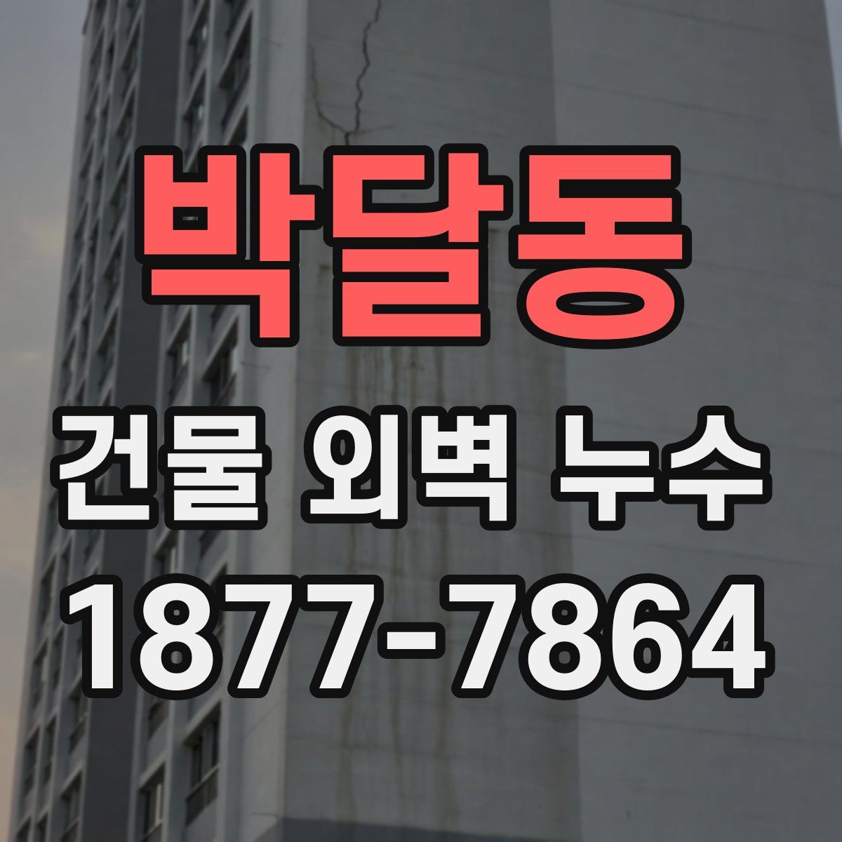 박달동 건물 외벽 누수