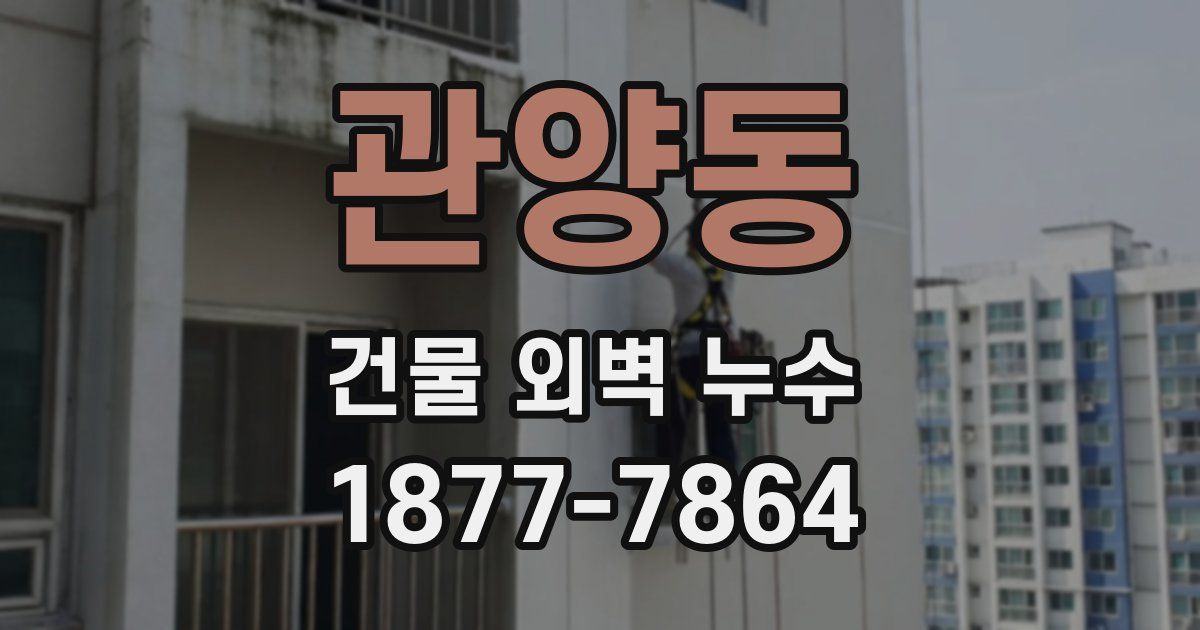 관양동 건물 외벽 누수