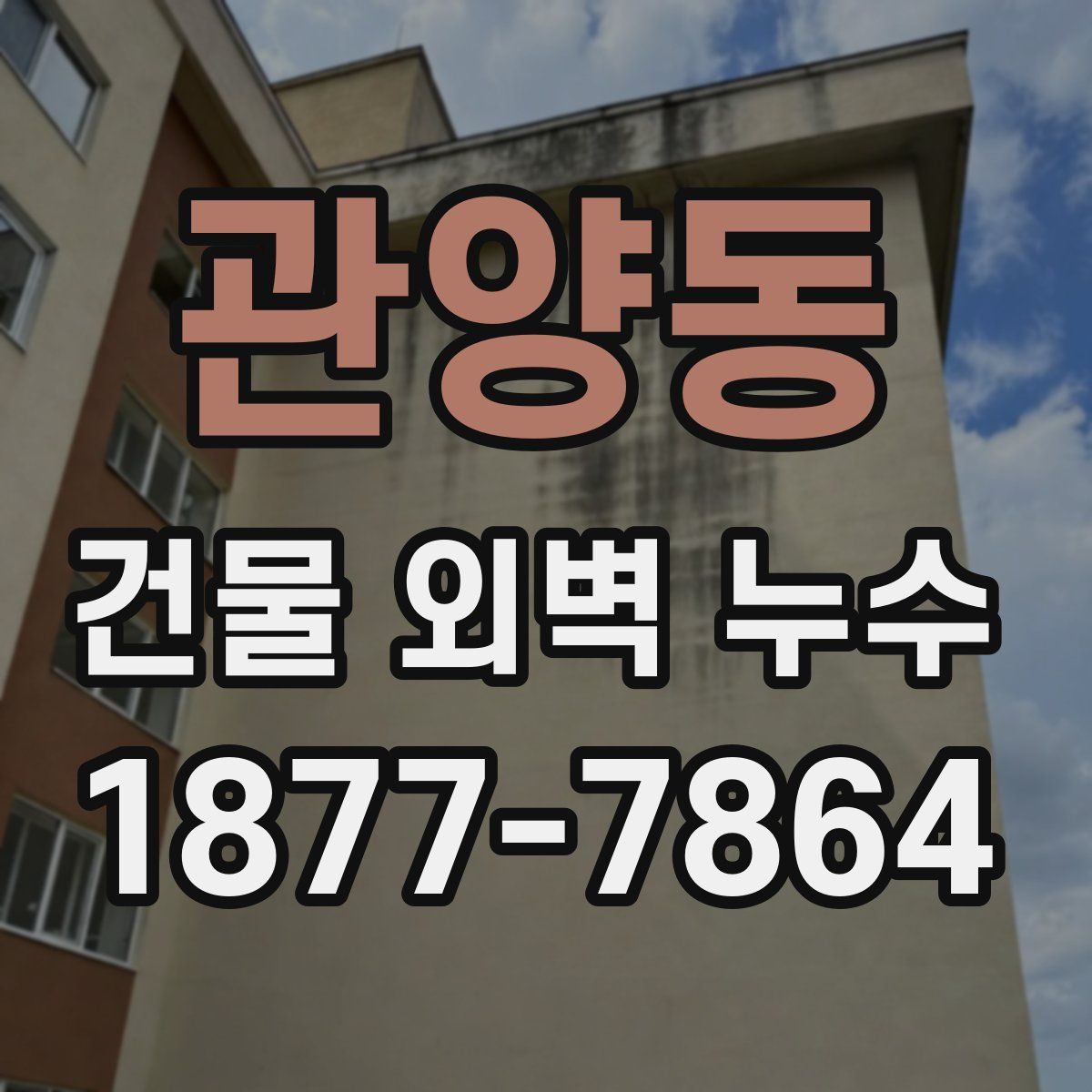 관양동 건물 외벽 누수