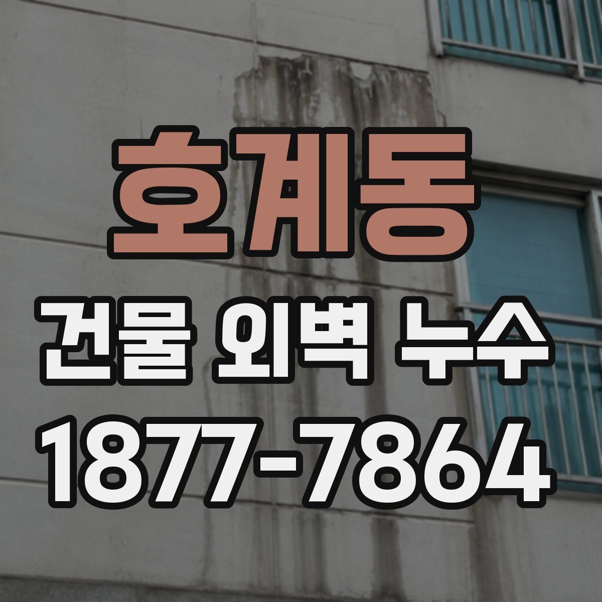 호계동 건물 외벽 누수