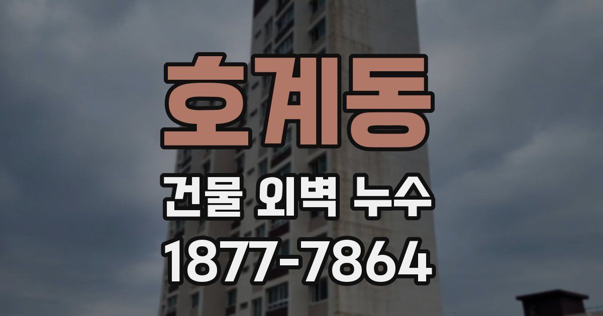호계동 건물 외벽 누수
