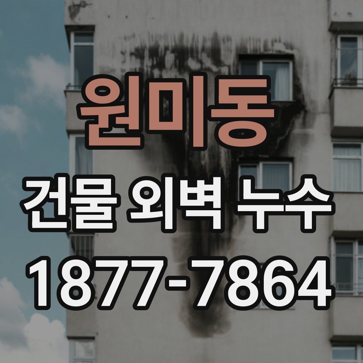 원미동 건물 외벽 누수