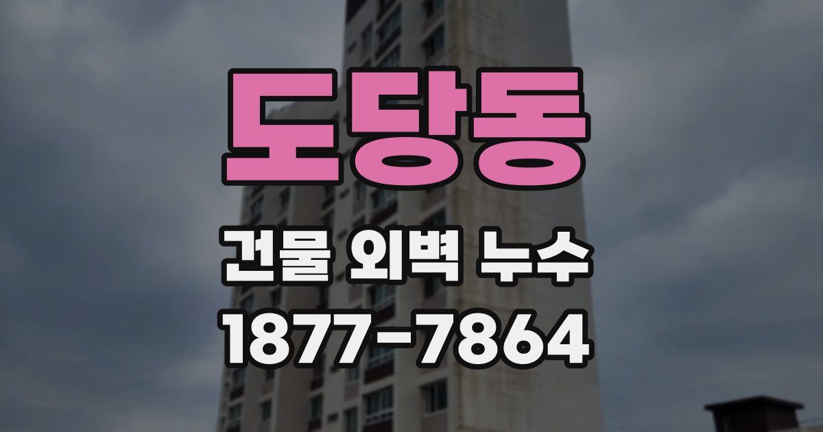 도당동 건물 외벽 누수