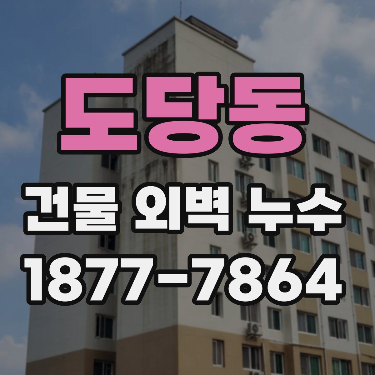 도당동 건물 외벽 누수