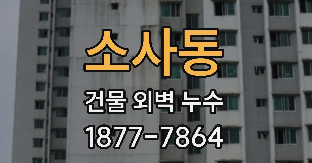 소사동 건물 외벽 누수