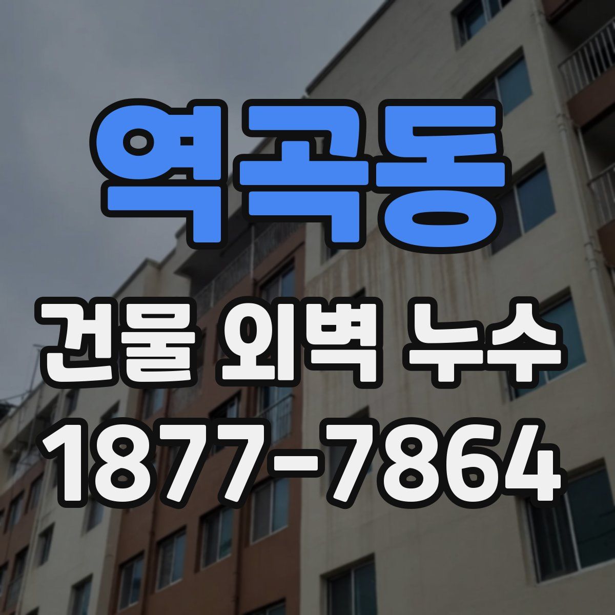 역곡동 건물 외벽 누수