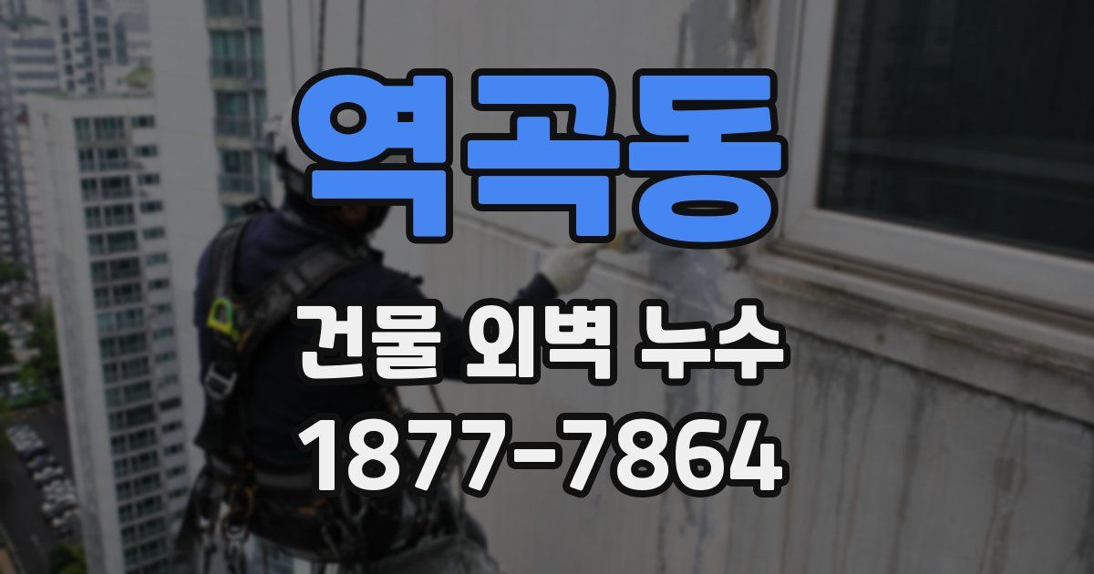 역곡동 건물 외벽 누수
