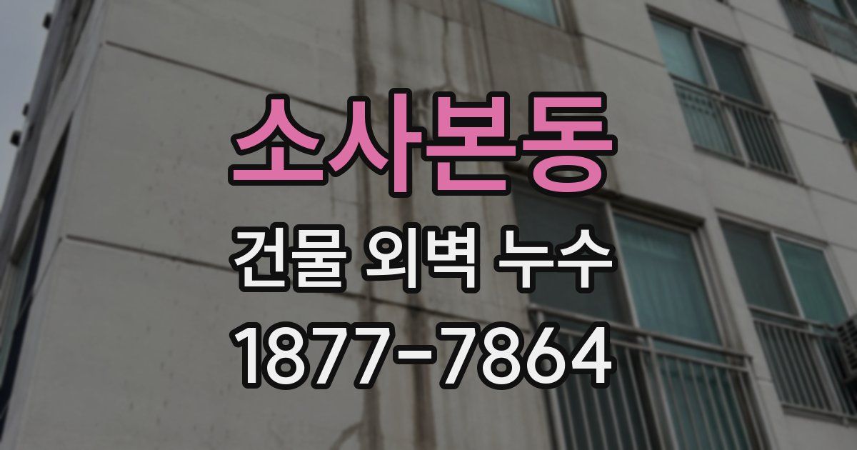 소사본동 건물 외벽 누수