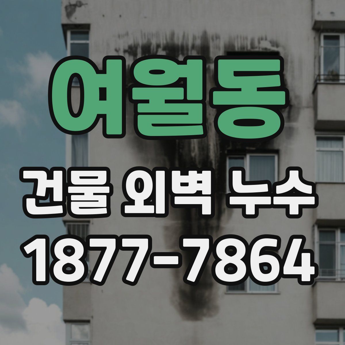 여월동 건물 외벽 누수