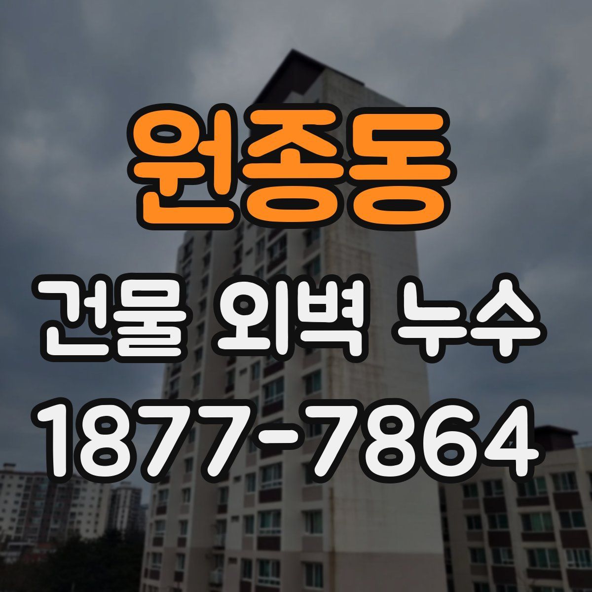 원종동 건물 외벽 누수