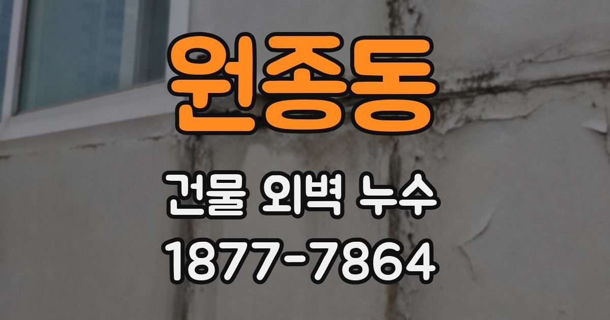 원종동 건물 외벽 누수
