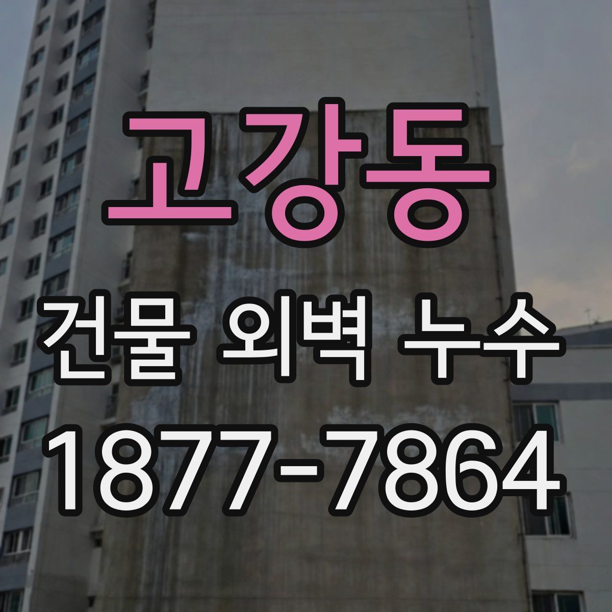 고강동 건물 외벽 누수