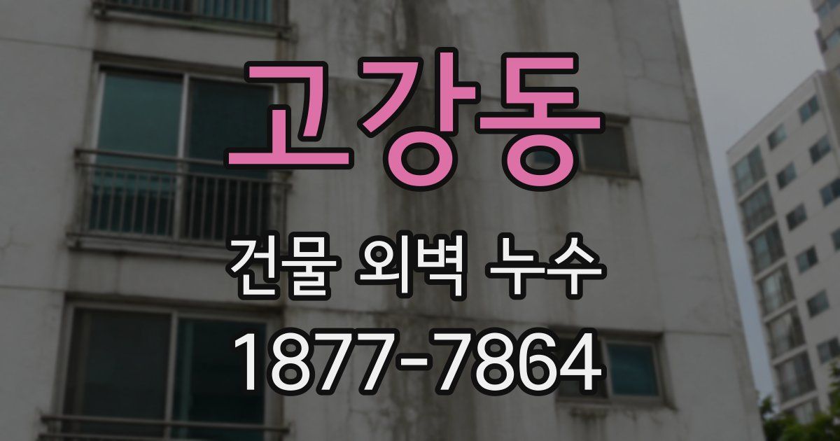 고강동 건물 외벽 누수