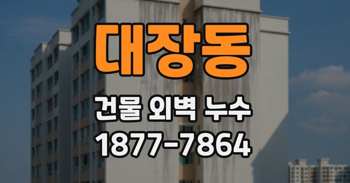 대장동 건물 외벽 누수