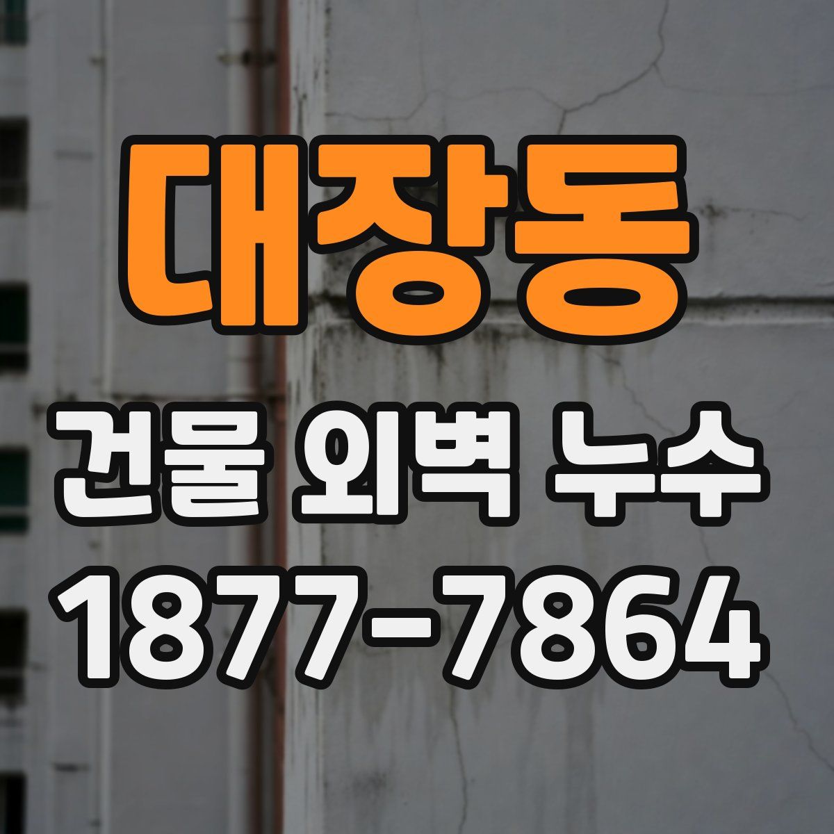 대장동 건물 외벽 누수