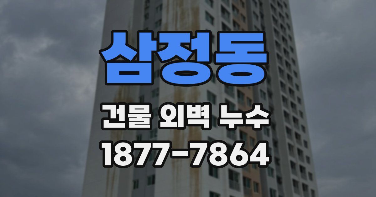 삼정동 건물 외벽 누수