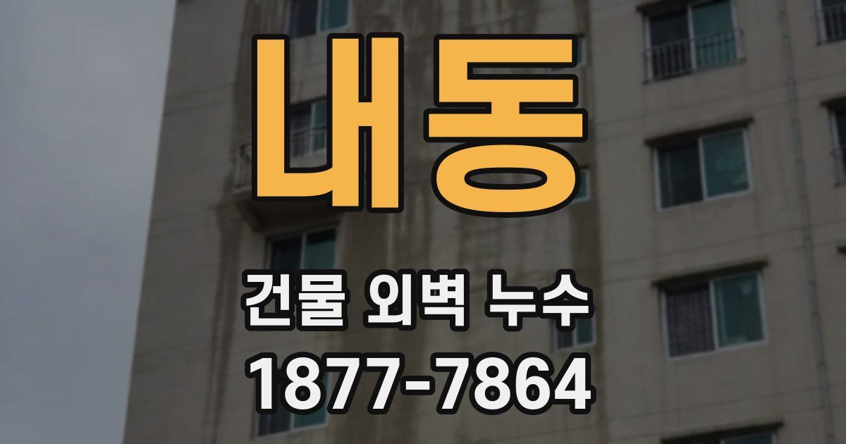 내동 건물 외벽 누수
