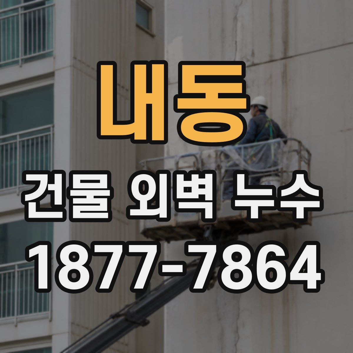 내동 건물 외벽 누수