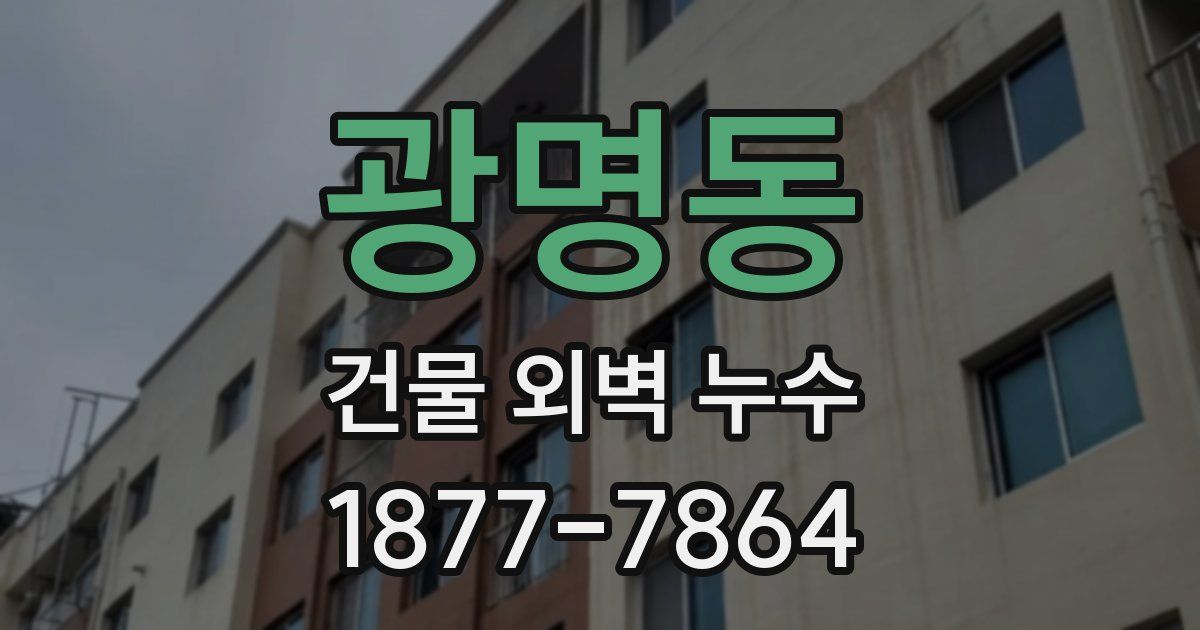 광명동 건물 외벽 누수