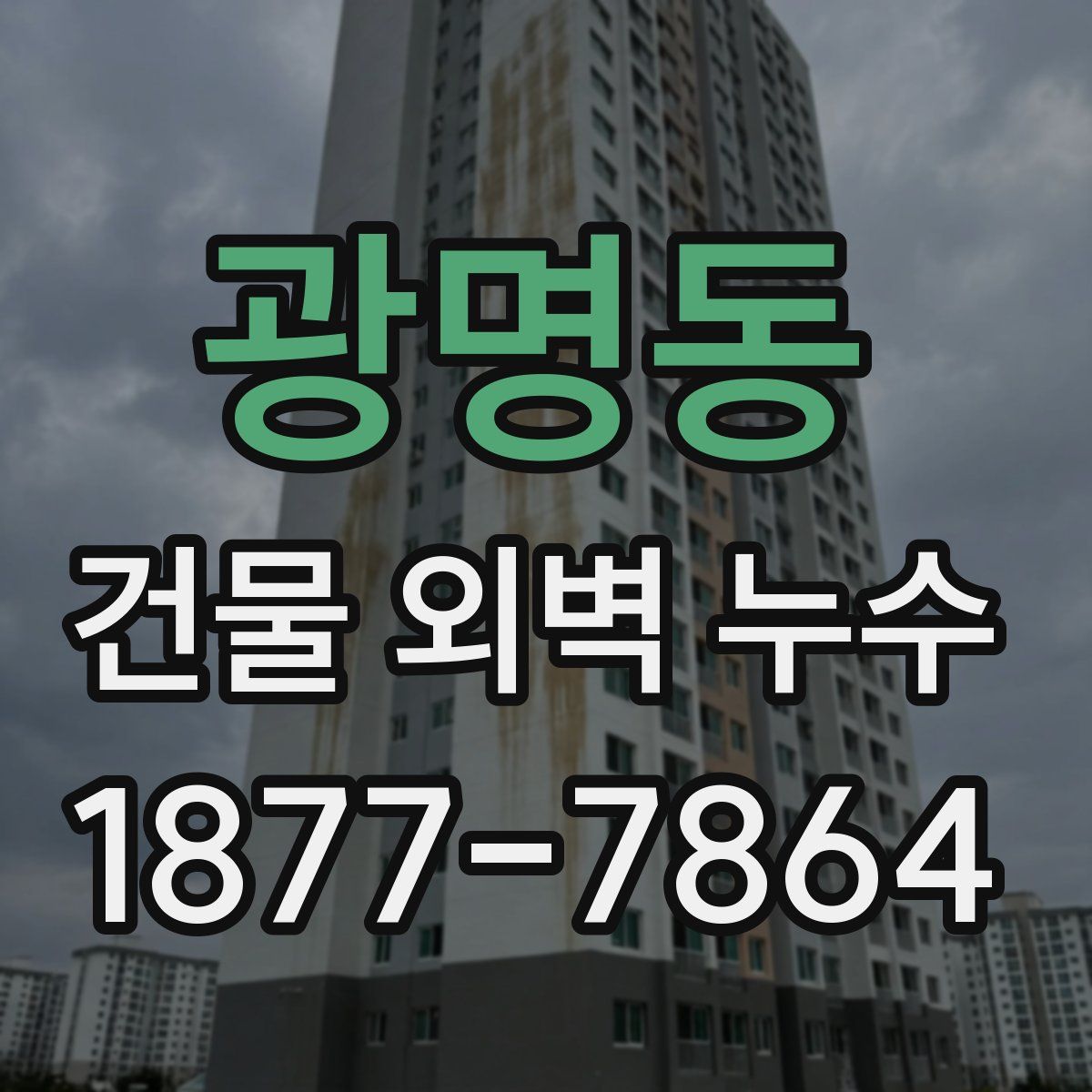 광명동 건물 외벽 누수