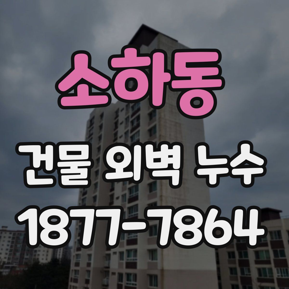 소하동 건물 외벽 누수