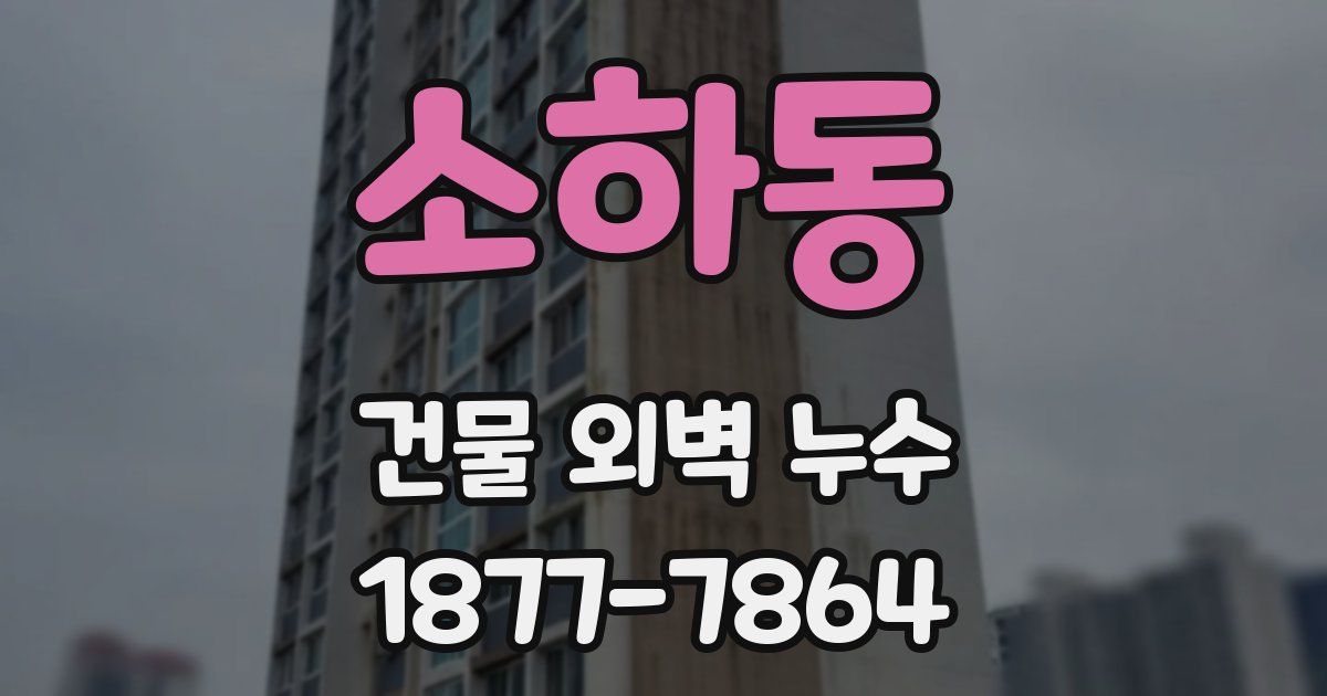 소하동 건물 외벽 누수